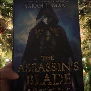 The Assassin's Blade Book by Sarah J. Maas